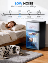 2.5 Cu.Ft Dorm Fridge with Freezer, Double Reversible Door Compact Refrigerator with 2 Removable Shelves - ANTARCTIC - STARFreezer