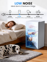 2.5 Cu.Ft Dorm Fridge with Freezer, Double Reversible Door Compact Refrigerator with 2 Removable Shelves - ANTARCTIC - STARFreezer