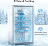 3.2 Cu.Ft Mini Fridge Auto Defrost Beverage Refrigerator, 130 Can with Glass Door &Adjustable Shelves - ANTARCTIC - STARBeverage Refrigerators