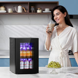 Antarctic Star 18L Beverage Refrigerator Cooler 24Can - ANTARCTIC - STARBeverage Refrigerators